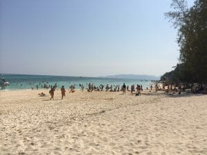 Gallery-34