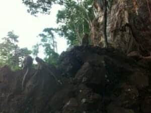 Angel-phuket-tours-memorable-trip-5