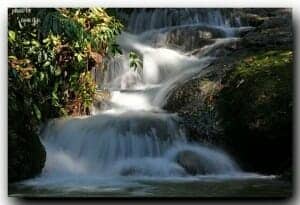 Private-guided-tours-phuket-phang-nga-3